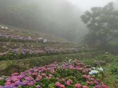 -鼓岭旅游度假区