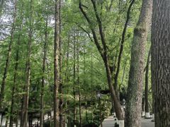 -忠山公园