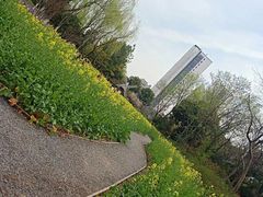 -圩墩遗址公园