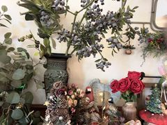 -春风·有糖(崇宁路店)