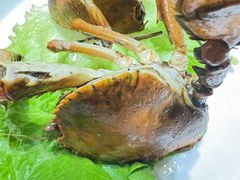 -醉壹号海鲜大排档·老厦门特色菜(厦门美食地标店)