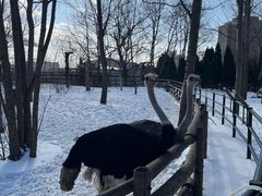 -大连森林动物园