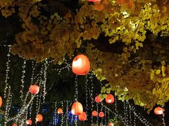 -横店影视城梦幻谷园区