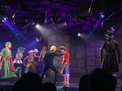 -东京塔海贼王主题公园