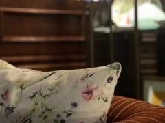 -古董花园(思南路42弄小区店)