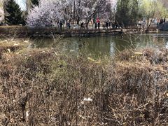 -长白岛森林公园