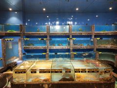 -五谷芳乳鸽王（大梅沙总店C区）(网红打卡店)