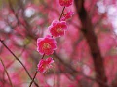 -苏州湾体育公园