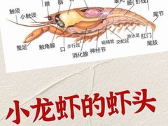 -沪小胖·小龙虾·蓝龙王(八佰伴店)