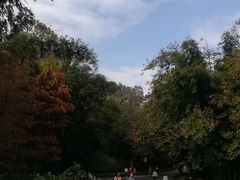 -广州市白云山风景名胜区
