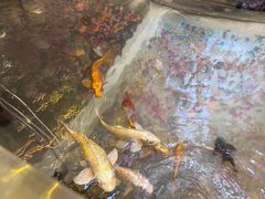 -中影国际影城(兰生大厦店)