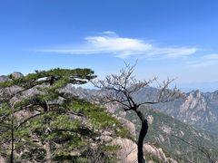 -黄山风景区
