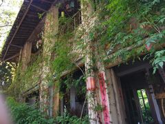 -馬蘭花開(车站大道店)