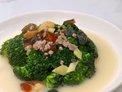 西兰花-粤·啫啫