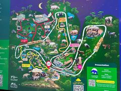 -夜间野生动物园