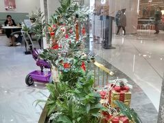 -丽莎沙拉轻食餐厅(国贸店)