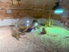 -正佳雨林生态植物园