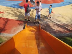 -春花秋色城市公园