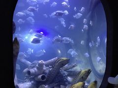 -成都浩海立方海洋公园