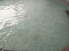 -汤峪温泉碧水湾