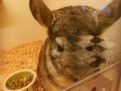 -龙猫仔乐园(惠福东路店)