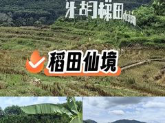 -牙胡梯田