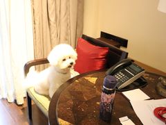 -上海崇明金茂凯悦酒店