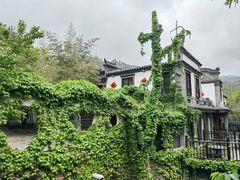 -老张烤羊(王哥庄店)