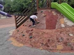 -枫香湖儿童公园