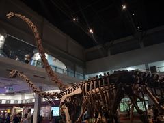 -自贡恐龙博物馆