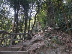 -梧桐山风景名胜区