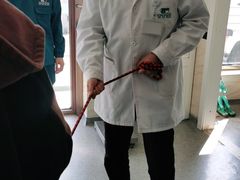 -安安宠医·安宠宠物医院