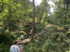 -青龙山国家森林公园