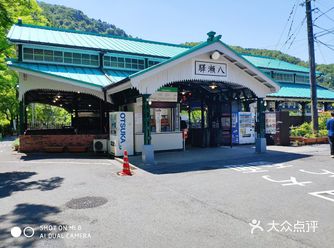哈喽，我亲爱的小婊贝们~推迟了好久的日本关西地区旅游