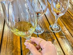 -紫轩葡萄酒庄园
