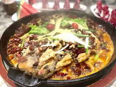 -老板恋上鱼(恒隆广场店)