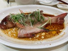 -益利大酒楼(井岸店)