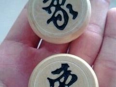 -志龙皇冠吃货椰子铺