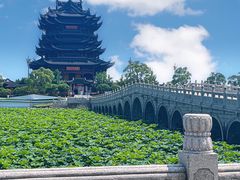 -阳澄湖半岛旅游度假区
