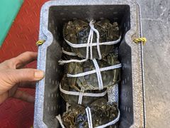 -蟹天蟹地农家菜·阳澄湖大闸蟹(浅水湾店)