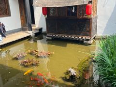 -膳和缘炒鸡店(南门路店)