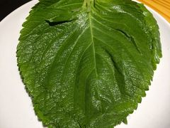 苏子叶-牛道精致烤肉(海安店)