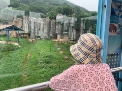 -无锡动物园·太湖欢乐园