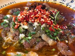 -芙蓉树下冒菜·麻辣烫(农院店)