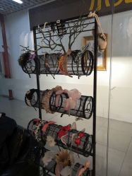 -小鬼当佳儿童摄影(回龙观店)