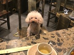 -肖肖酸萝卜鱼火锅(总店)