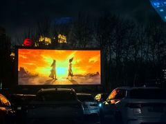 -枫花园汽车电影院(朝阳公园店)