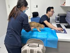 -喜多萌中农锦绣动物医院24H·猫科·牙科MRI·CT