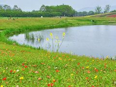 -径山花海