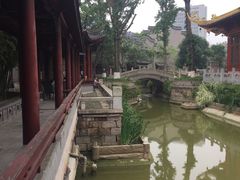 -龙潭水乡